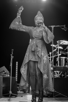 Angélique Kidjo | 18.07.2014 | Kulturarena, Jena | © Felix Brodowski